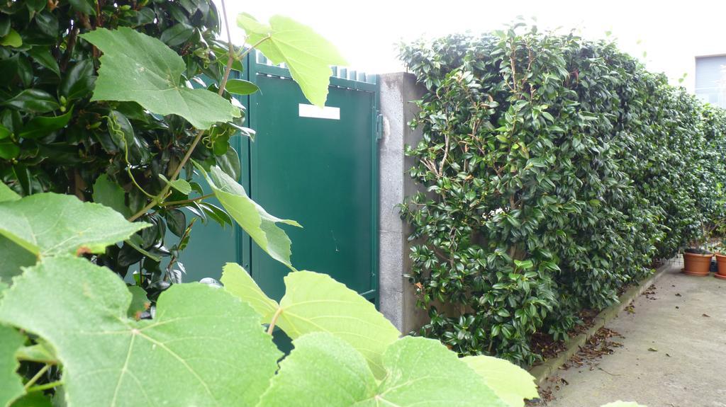 Ponta Delgada Azores Holidays House -B&B - Suites - Self Check-In Keyboard المظهر الخارجي الصورة